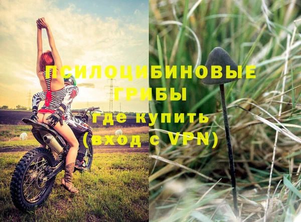 стаф Долгопрудный