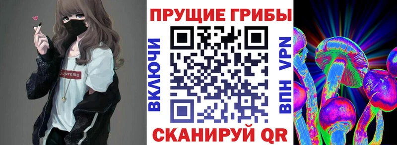 Псилоцибиновые грибы Cubensis  Нефтегорск 